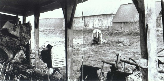 Noir Dsir 